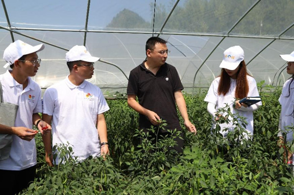 实践团参观蔬菜大棚。beat365中文官方网站供图