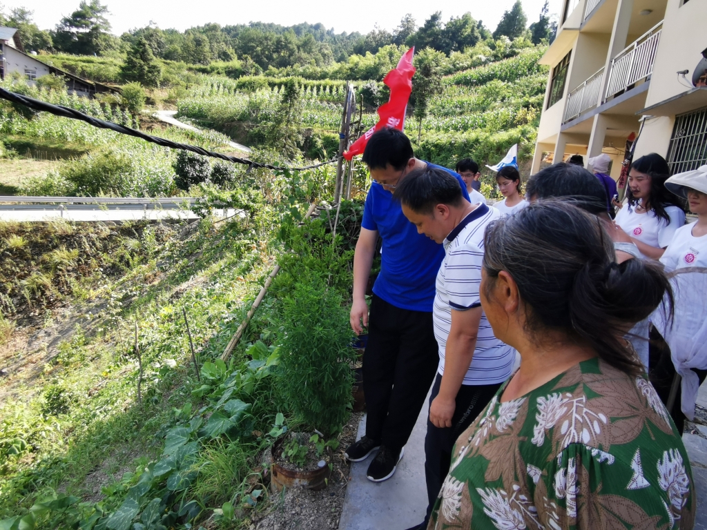 服务团调研黄精种植 服务团调研黄精种植